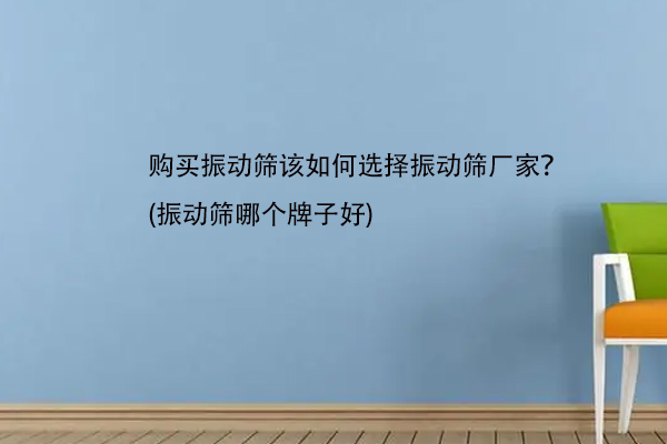 购买振动筛该如何选择振动筛厂家？(振动筛哪个牌子好)